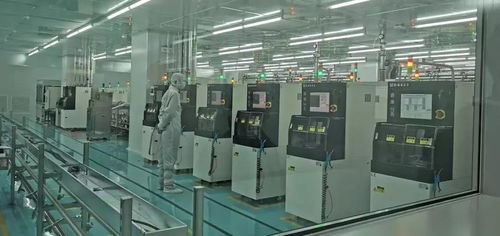 千名行業精英匯聚海滄，共筑國際影響力集成電路設計新高地